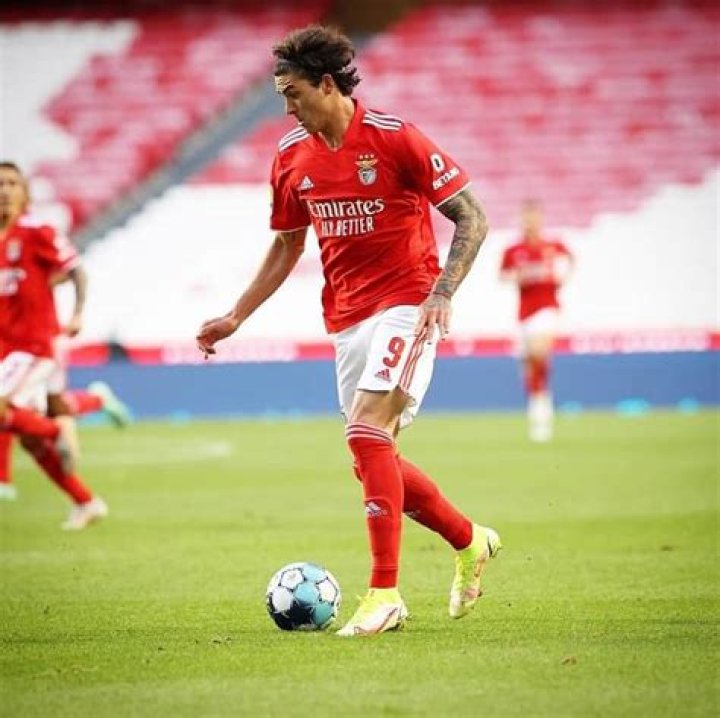 Darwin Nunez - Bio, Career, Age, Net Worth, Nationality, Facts