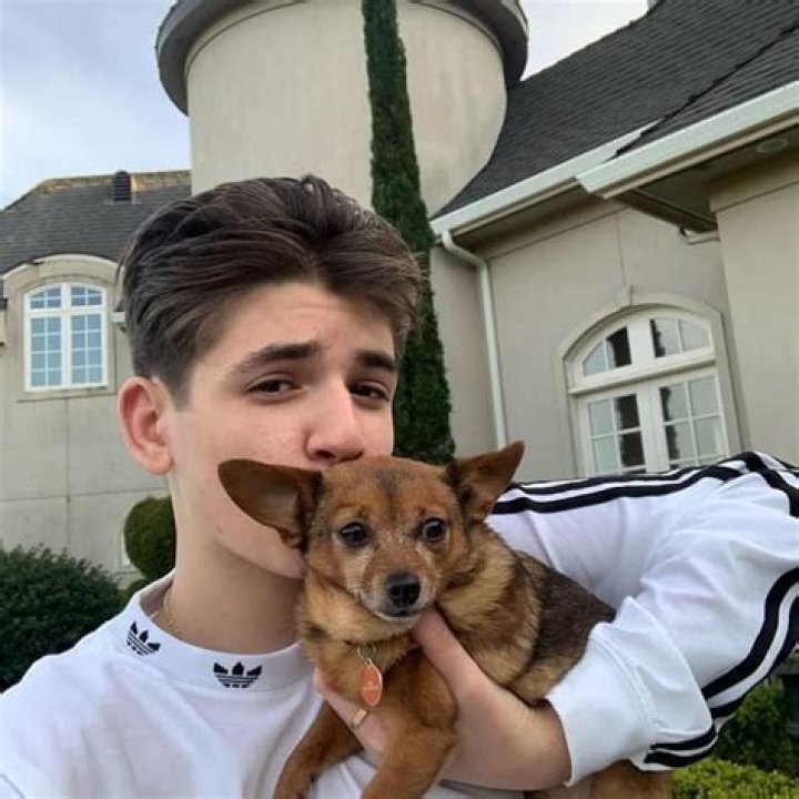 JSH Diy - Bio, Age, Career, Net Worth, Height, Single, Wiki, Facts