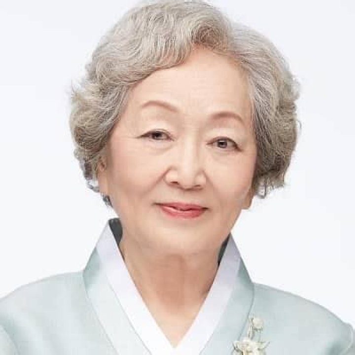 Kim Young-ok - Bio, Age, Nationality, Body Measurement, Career